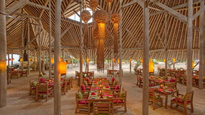 Down to earth by ravi 